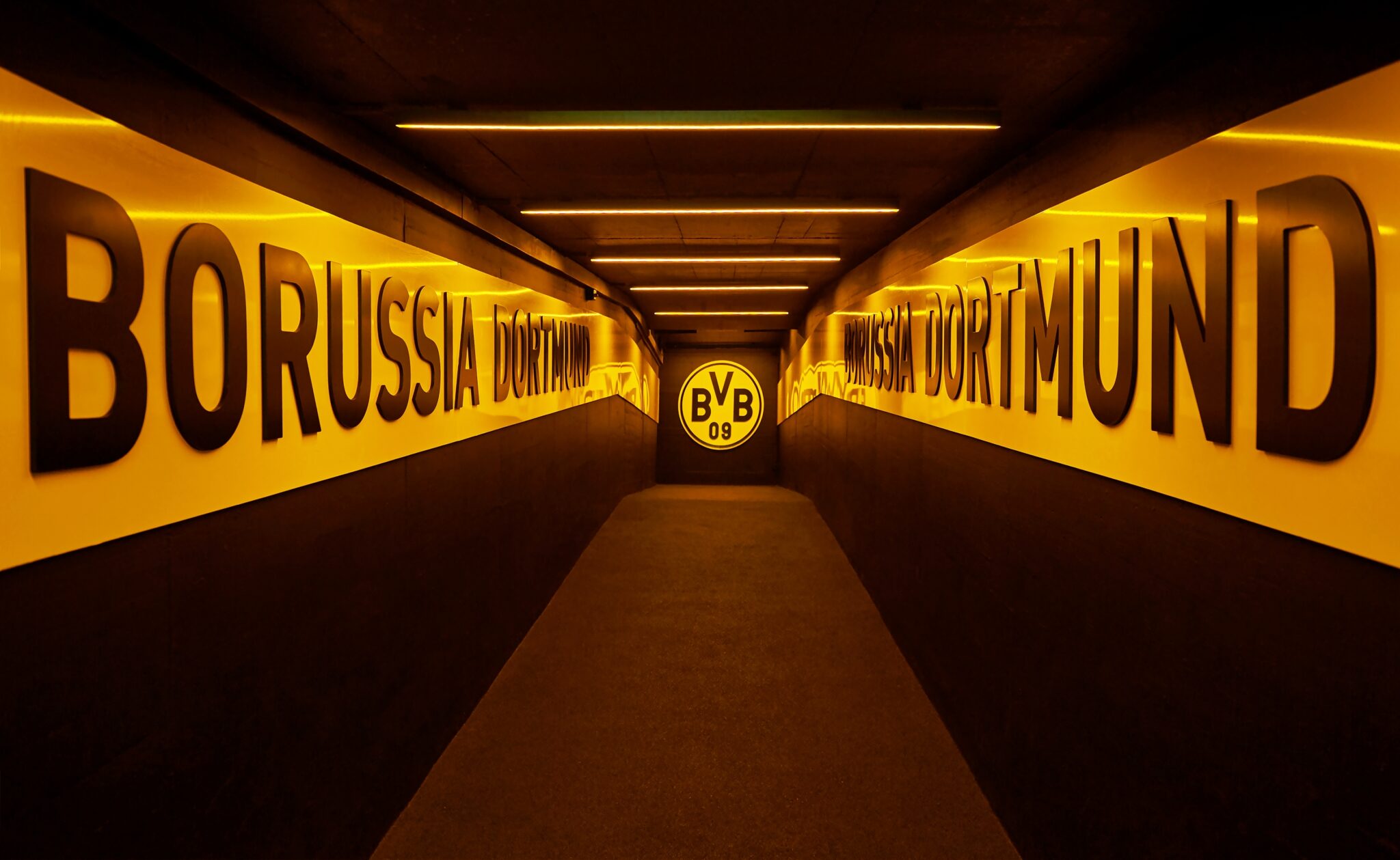 BVB Spielplan
